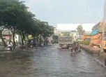 Hampir Sepekan, Banjir di Pantura Semarang–Demak Tak Kunjung Surut