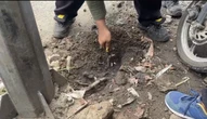 Viral! Asap Panas Berbau Belerang Muncul di Trotoar Kota Depok