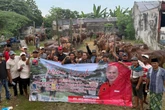 PDI Perjuangan Jatim Bagikan 468 Sapi Kurban ke Pesantren dan Panti Asuhan