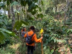 6 Hari Hilang di Gunung Bismo, Dua Remaja Asal Wonosobo Belum Ditemukan