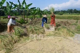Nilai Tukar Petani di Jateng Naik, Ini Penjelasan BPS