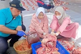 Dispangtan Malang Temukan Cacing Hati Hingga Radang Paru-Paru pada Ratusan Kurban