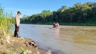 Ada Buaya di Kali Progo, Warga Diminta Waspada