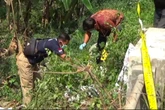 Perempuan Ditemukan Tewas di Semak-semak Jalan Raya Saradan, Diduga Korban Laka Tunggal