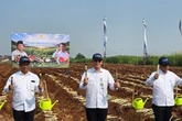 Dukung Swasembada Gula Nasional, PT SGN Ambil Peran dalam Gerakan Tanam Serentak
