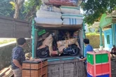 17 Unit Sepeda Motor Tanpa Surat Lengkap Dikirim dari Pati ke Kalimantan, Polisi Bergerak
