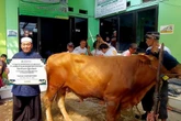 Agrinas Salurkan 42 Hewan Kurban, Dukung Ketahanan Pangan Lewat Program TJSL