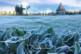 Bun Upas Muncul di Dieng, Suhu Dini Hari Tembus 1 Derajat Celsius