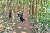 Viral Aksi Begal di Hutan Jati Blitar, Korban Dianiaya dan Motor Dibawa Kabur