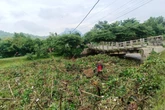 Izin BBWS Terbit, Jembatan Junjung Tulungagung Dibangun dengan Target Rampung 6 Bulan