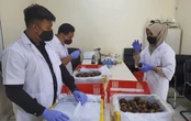 Ekspor Salak Gula Pasir Bali ke Vietnam Tinggi, Ada Kabar dari Barantin