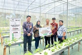 PLN Bikin Greenhouse Melon di Malang Makin Canggih, Penyiraman hingga Nutrisirr Otomatis