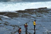 Tim SAR Gabungan Cari Wisatawan Asal Bandung yang Tenggelam di Pantai Sayang Heulang Garut