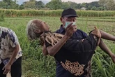 Viral Anak di Probolinggo Diduga Usir Ibu Kandung dari Rumah