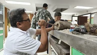 Fosil Gajah Purba 800 Ribu Tahun dari Nganjuk Mulai Direparasi Museum Geologi Bandung