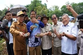 1,3 Ton Ikan Papuyu Dipanen Untuk Dukung Ketahanan Pangan di Banjar