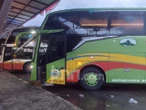 Info Jadwal dan Harga Tiket Bus AKAP dari Bali ke Pulau Jawa Jumat (17/7)