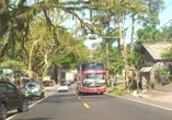 Polres Jembrana Resah Aksi Ugal-ugalan Sopir Bus di Jalur Denpasar – Gilimanuk