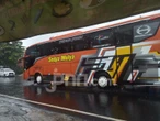 Cek Jadwal Bus AKAP dari Bali ke Pulau Jawa Minggu (26/7), Sebegini!