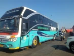Cek Jadwal & Harga Tiket Bus AKAP dari Bali ke Pulau Jawa Kamis (25/9)