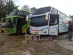 Info Jadwal & Harga Tiket Bus AKAP dari Bali ke Pulau Jawa Rabu (8/7), Cek!