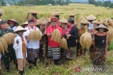 Festival Jatiluwih 2026 Bergulir, Okupansi Akomodasi Wisata Tembus 100 Persen