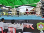 Pertina Gelar Gianyar Open, Ajang Pemanasan Menuju Porprov Bali 2025