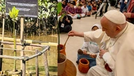 Mangrove yang Diberkati Paus Fransiskus di KEK Kura-Kura Bali Tumbuh Subur, Simbol Kasih