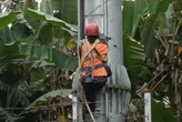 Tim Yustisi Badung Bongkar Tower Bodong di Abiansemal, yang Lain Menyusul