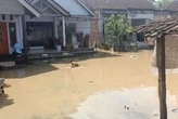Banjir Besar Terjang Jembrana Bali, Infrastruktur di Sejumlah Titik Hancur