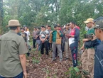 DKLH Bali Sorot Alih Fungsi Hutan Desa Sepang Buleleng, Tata Ulang Segera