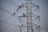 Blackout di Bali Berdampak, Pemadaman Bergilir Berlanjut, YLPK Ungkap Data