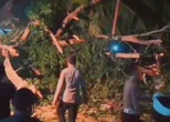 Petaka di Pura Ped Nusa Penida! Pohon Gepah Tumbang, Satu Tewas, 5 Luka