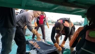 ABK KMP Bina Hasil 16 Tewas Tenggelam di Dermaga Barat Pelabuhan Benoa