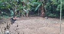 Monyet Ekor Panjang Teror Warga Darmasaba Badung, BKSDA Bali Turun Tangan