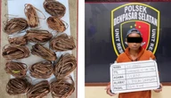 Buruh Proyek Bengal Ini tak Berkutik, Tumpukan Kabel Tembaga Jadi Bukti
