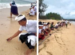 Momen Tumpek Kandang di Pantai Serangan: Menjaga Harmoni Alam, Lepas Ratusan Tukik