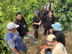 Kopi Arabika Sembalun Naik Kelas Berkat Label IG, Kakanwil Milawati Blak-blakan