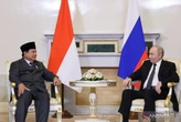 Pertemuan Prabowo – Putin Bawa Angin Segar Bagi Bali, Ada 2 Hal Penting