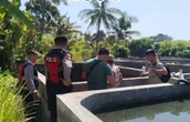 Tragedi Tambak Bandeng Buleleng: Dua Bocah Tewas Tenggelam di Bak Rotifera