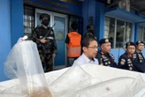 Penyelundupan 31 Ribu Benih Lobster Digagalkan KKP, 1 Terduga Pelaku Ditahan