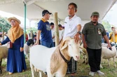 Upaya Pemprov Jateng Pastikan Kesehatan Hewan Kurban Iduladha 2026
