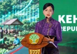 Langkah Cepat Menhut Disebut Buka Peluang Investasi Global Lewat Perdagangan Karbon