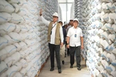 Kabar Baik untuk Petani, BULOG Serap 3,5 Juta Ton Setara Beras