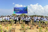 PNM Tanam 22 Ribu Pohon Mangrove di 18 Titik Kawasan Pesisir