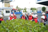 Kawal Mandat Swasembada Energi Presiden Prabowo, Komut Pertamina Jamin Stok LPG Surabaya Aman