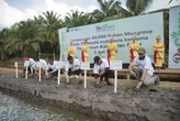 Perkuat Restorasi Ekosistem Pesisir, Nestle Tanam 60.000 Pohon Mangrove