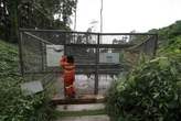 Sanctuary Park IWIP Jadi Rumah Baru Satwa dan Tumbuhan Endemik Halmahera