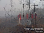 Karhutla di Lahan Gambut OKI Belum Jinak, Helikopter Water Bombing Dikerahkan Padamkan Api