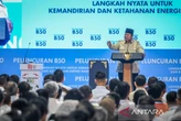 Ekspedisi BRIN Temukan Cadangan Emas dan Mineral Berjumlah Besar di Pegunungan Papua